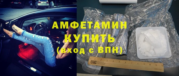 крисы Кулебаки