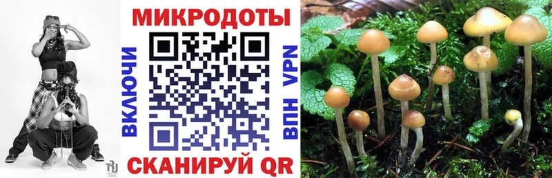 Купить  Иланский  Псилоцибиновые грибы Magic Shrooms 